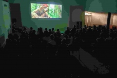 Kino plenerowe