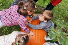 243129220_421544095983572_2251914841408735938_n