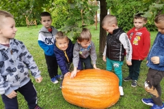 243175459_1064613587633536_8528794416944493697_n