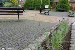 249689220_936368430296870_2462631400051436982_n