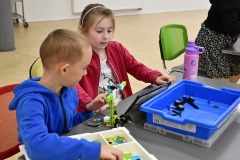 roboty-szynwald-DSC_2272