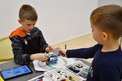 roboty-szynwald-DSC_2349