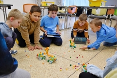 roboty-szynwald-DSC_2564