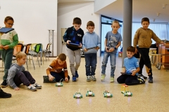 roboty-szynwald-DSC_2582