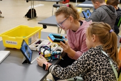 roboty-szynwald-DSC_2606