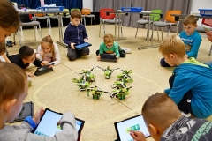 roboty-szynwald-DSC_2617