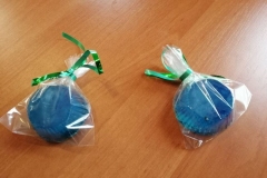 135597627_393055468438306_4668321107865137667_n